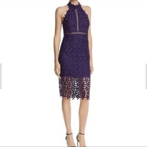 New! Bardot Garden Party Lace Dress